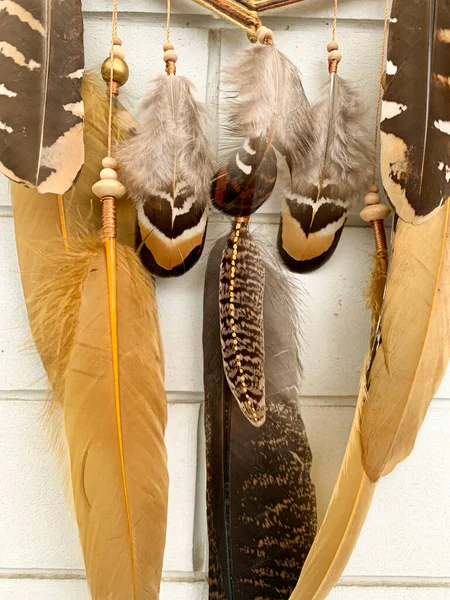 Handmade Dreamcatcher Close Pheasant Feathers Tribal Bohemian Craft Wall Hanging — Stock Photo, Image