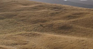 Motokros dağlarda dikey çerçevede. Yüksek kalite 4k görüntü