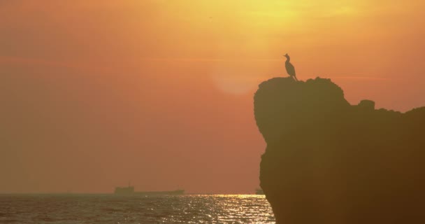 日没時に海のシルエットの石の上の鳥 海の中の岩の上に死体 日没時のスローモーションビデオ ゴールデン アワー 高品質4K映像 — ストック動画