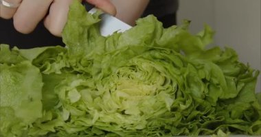Bir bıçak Pekin lahanasını keser. Aşçı yemek için salatayı dilimler. Yavaş çekim makroyla marul için yeşillik doğrama. Yüksek kalite 4k görüntü