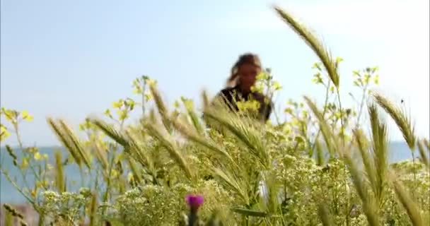 Eine Frau Sommer Geht Bei Sonnenuntergang Durch Ein Wildes Feld — Stockvideo