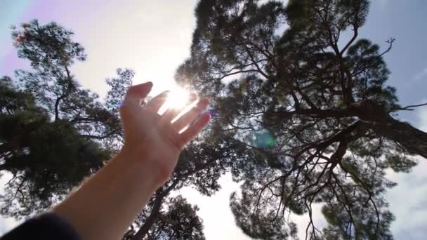 Nsan Eli Gün Batımında Gökyüzünde Mutluluk Rüyası Güneş Işınlarında Meditasyon — Stok video