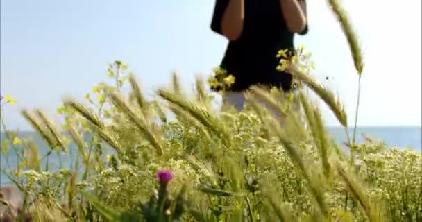 Eine Frau Sommer Geht Bei Sonnenuntergang Durch Ein Wildes Feld — Stockvideo