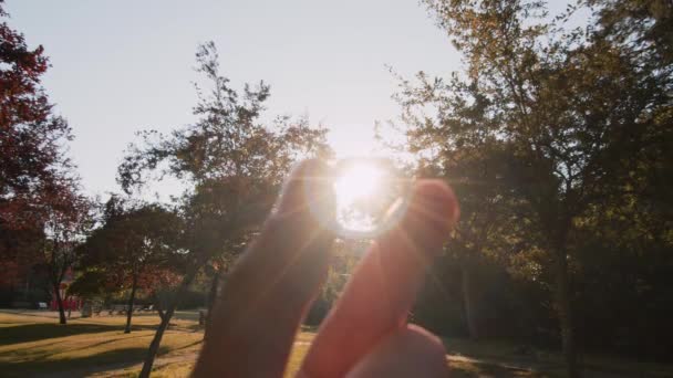 夏の公園の夕日を背景に婚約指輪を探すハメに 結婚するという提案 結婚と家庭の概念 結婚指輪は男の手に — ストック動画