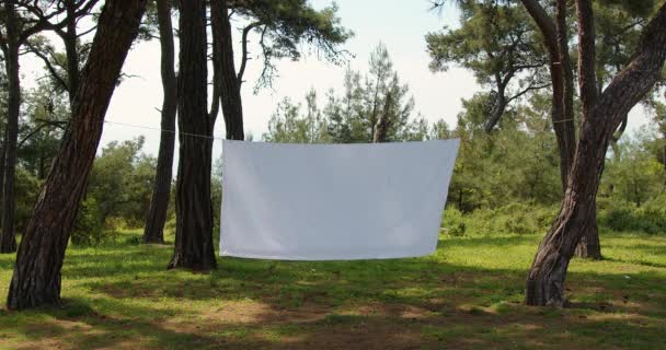 白いシートが木の間のロープにかかっている 流行のタイトルの背景 静けさ 独立系映画の背景の概念 高品質4K映像 — ストック動画