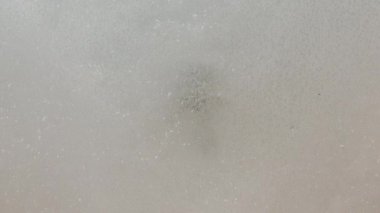 Eski bir böcek buzdan çözülmüş. Buzul çağının böcekleri. Böcek tehlikesi. Antika virüsleri. İnsanlar için tehlikeli böcekler. Buz Devri fosilleri. Yüksek kalite 4k görüntü