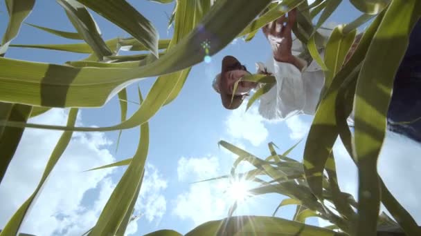 Landbouwmaïs Milieubescherming Man Boer Een Hand Raakt Gieten Maïs Planten — Stockvideo