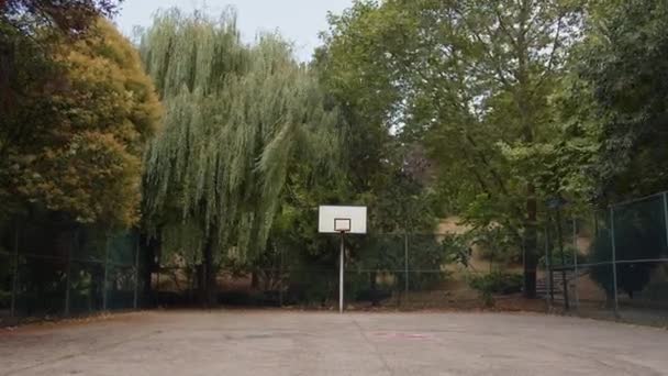 Üres Kosárlabda Pálya Nagy Fák Háttérben Willow Megingott Szélben Nagyítás — Stock videók