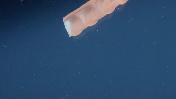 Aufnahme Zeitlupe Abstieg Von Kunststoff Und Metalltrümmern Unter Wasser Die — Stockvideo