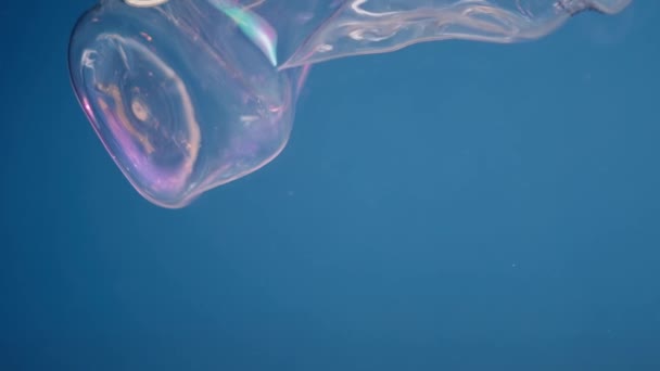 Büyüleyici Bir Yavaş Çekim Sekansıyla Kırışık Bir Plastik Şişe Kristal — Stok video