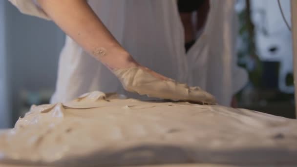 Погрузитесь Мир Художественной Керамики Высококвалифицированная Творческая Женщина Керамик Тщательно Вдумчиво — стоковое видео