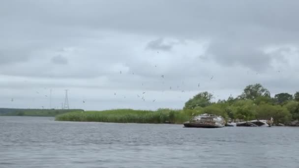 Ένα Μηχανοκίνητο Πλοίο Πλέει Γρήγορα Κατά Μήκος Ενός Ποταμού Και — Αρχείο Βίντεο