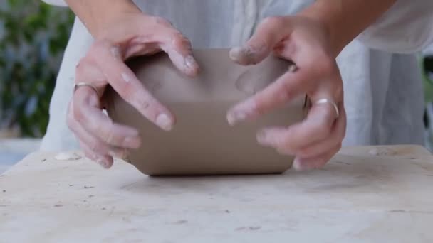 Погрузитесь Мир Художественной Керамики Высококвалифицированная Творческая Женщина Керамик Тщательно Вдумчиво — стоковое видео