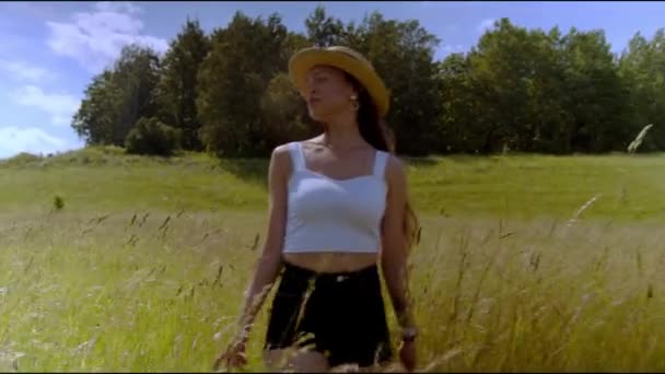 一个戴着草帽和白色T恤的年轻漂亮的姑娘正在草地上散步 望着远方 背景是一片森林和美丽的阳光灿烂的天空 欧洲的夏天 — 图库视频影像