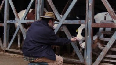 Çiftliğin göbeğinde, kovboy şapkası ve iş kıyafeti giymiş bir Latin çiftçi sığır ağılının yanında sahneye çıkarak ineklerden biriyle samimi bir bağ kuruyor. Bu betik olmayan an