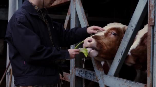 Herzen Der Farm Steht Ein Latinx Bauer Mit Cowboyhut Und — Stockvideo