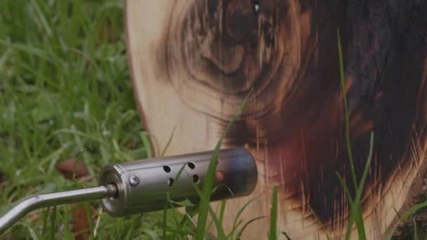 Sochařská Příroda Maestro Artisans Profound Exploration Wood Burning Creativity Nature — Stock video