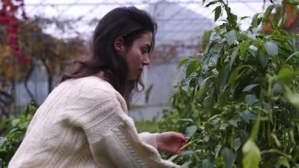 케이블 스웨터와 브라운 바지에 머리와 럭셔리 환경에서 식물을 유기농의 본질을 — 비디오