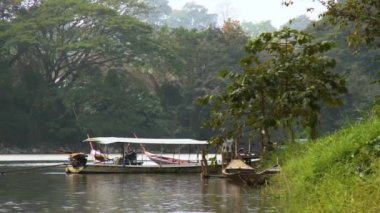 Riverside Repose: Tropikal Huzur İçinde Geleneksel Tekneler. Geleneksel tekneler, yemyeşil yemyeşil ve sarkık ağaçlarla çevrili sakin bir nehir kıyısına demirlemişti.