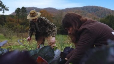 Mevsim kırmızı ve portakal paleti ile kırsal bölgeleri boyarken, bir erkek ve bir kadın tarım sanatında çabalara katılıyor. Serin hava için uygun giyinen adamlar hasır şapka takıyor.