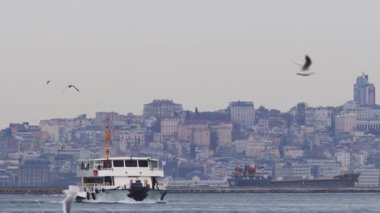 Sabahın erken saatlerinde bir yolcu feribotu sakin denizi hareketli kentsel manzaraya bağlamak için suyun üzerinde süzülüyor. Martılar sönük ışıkta süzülürken, şehir silueti