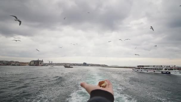 Escena Desarrolla Ferry Donde Una Mano Personas Sosteniendo Una Gran — Vídeo de stock