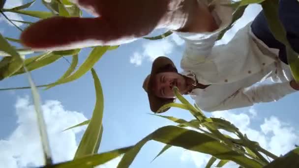 Este Marco Ofrece Una Perspectiva Única Del Suelo Mirando Agricultor — Vídeo de stock