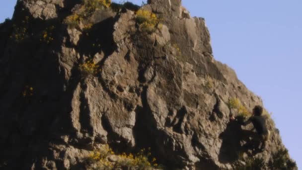 クライマーとしての壮大なシーンは サミットを達成し ジャガイドされた岩の頂上に立つ6Kの明確さで展開されます 上の広大な青空とフレームの下の緑のこの瞬間 — ストック動画