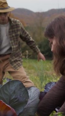 İki çiftçinin sonbahar tarlasında lahana topladığı görülürken, biri geleneksel tırpan kullanıyor, diğeri de toprağa yakın çalışıyor. Odaklandıkları konu amelelik ve organik yöntemler.
