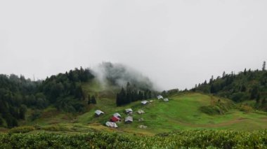 Yeşil yemyeşil dağlarda yuva yapmış küçük bir köy ve kırsal evler manzaranın her tarafına saçılmış. Sis ve sis sık ormanlık alanda süzülerek sakin ve sakin bir atmosfer yaratıyor. Şey...