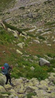 Dişi bir sırt çantası, geniş, sarı liken kaplı kayalar ve alp bitkileriyle dolu engebeli bir dağ manzarasında dikkatle gezinir. Destek için yürüyüş direklerini kullanıyor.