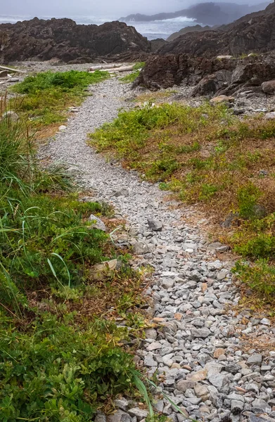 Park Pathway Vista Panorámica Sinuoso Camino Piedra Través Una Naturaleza — Foto de Stock