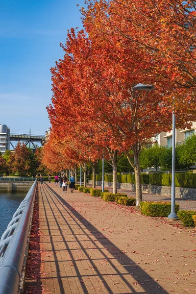 stock image Cityscape in autumn season. Autumn colors of the trees in Vancouver, British Columbia. Crescent Beach walkway. Travel photo, street view-October 14,2022-Canada