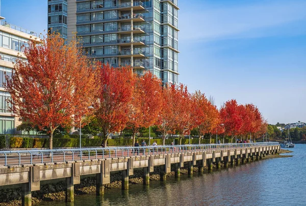 Krajobraz Miejski Jesienią Jesienne Kolory Drzew Vancouver Kolumbia Brytyjska Promenada — Zdjęcie stockowe