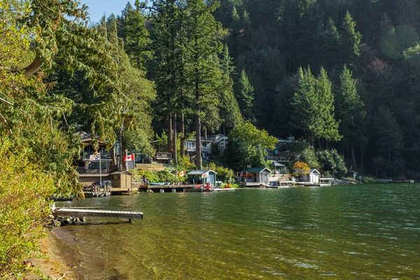 Houses Shore Forest Lake British Columbia Wooden Houses Errock Lake — Stock Photo, Image