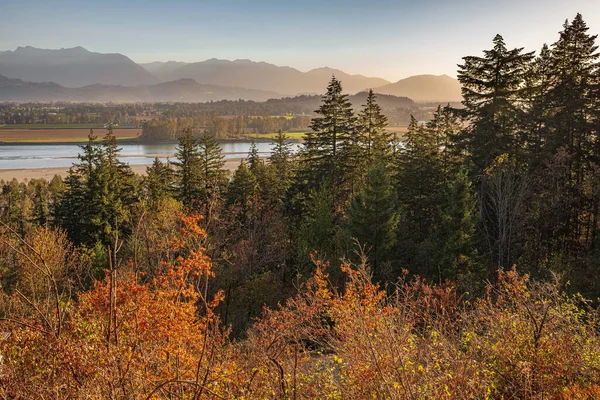 Floresta Outono Paisagem Fluvial Floresta Colorida Montanhas Colúmbia Britânica Durante — Fotografia de Stock