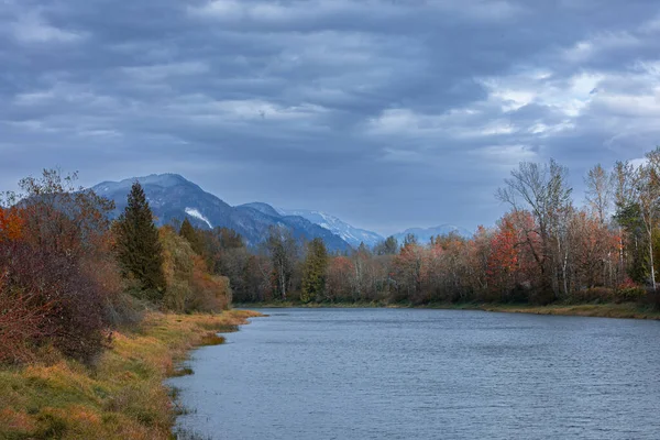 Осенняя Листва Горах Британской Колумбии Канадские Леса Осенью Осеннего Сезона — стоковое фото