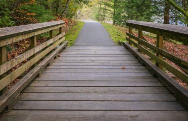 Yürüyüş yolu ve Kanada 'daki güzel yağmur ormanlarının manzarası. Ormanda çevre yolu ahşap geçit. Ekolojik patika. Kamu parkında tahta köprü yolu var. Çevresel koruma