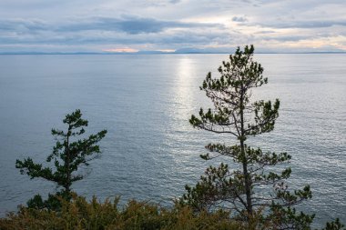 Deniz manzaralı güzel bir fotoğraf. Doğanın bileşimi. Rüzgâr fırtınası. Koyu mavi bulutlar ve deniz veya okyanus su yüzeyi, dramatik deniz manzarası