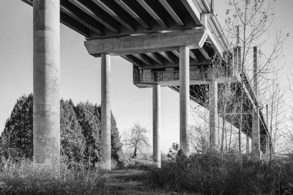 混凝土桥柱 桥下的透视建筑 没有人 抽象的建筑 黑白照片 — 图库照片