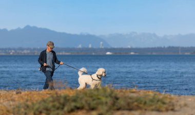 Parkta köpeğini gezdiren bir adam. Asyalı bir adam köpeğini deniz kenarında gezdiriyor güneşli bir sonbahar günü - Vancouver BC Kanada - 18 Ekim 2022-Copyspace yazı ve sokak fotoğrafı için