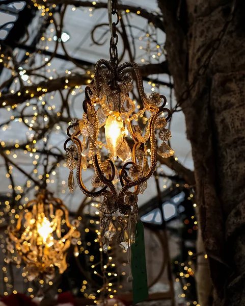 Beau Décor Lanternes Guirlandes Extérieur Dans Café Jardin Lanterne Avec — Photo