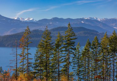 Bir dağ gölü manzarası ve berrak bir dağ ve mavi gökyüzüne karşı uzun tüylü dikenli köknar ağaçlarıyla ebediyen yeşil kozalaklı ladin ormanı. Seyahat fotoğrafı, kimse yok.