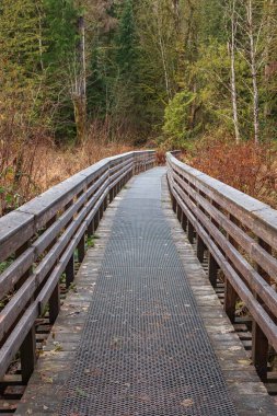 Ormanda çevre yolu ahşap geçit. Ekolojik patika. Kanada 'daki Ulusal Park' ın tahta yolu. Seyahat fotoğrafı, seçici odak, kimse yok.