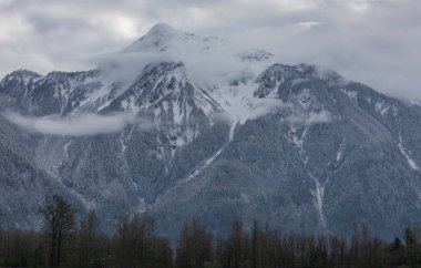 Foggy morning at cold day in the mountains. Mount Cheam during the winter season. Mount Cheam Agassiz in British Columbia Canada near the city of Chilliwack. Travel photo, nobody, selective focus