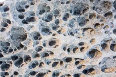Honeycomb weathered and eroded sandstone rock sea cliffs at the beach. It is believed as salty water dries out, salt crystals form in the rock causing local crumbling. Nobody