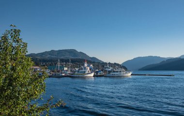 Yachts and sailing boats at marina. Sailing boats, motorsailer moored to a pier in a yacht marina in port Alberni BC Canada. Travel photo, nobody-October 3,2023
