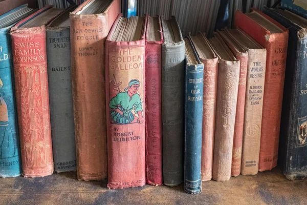 Starožitné Knihy Dřevěné Polici Old Vintage Antique Aged Rarity Book — Stock fotografie