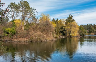 Orman Gölü. British Columbia 'da ormanla çevrili bir göl manzarası. Bahar manzarası, sudaki yansıma. Seyahat fotoğrafı, kimse yok.