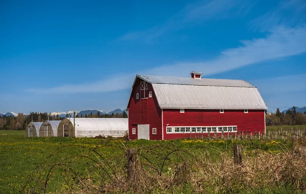 Eski Kızıl Ahır ve mavi gökyüzü olan tarım arazisi. Kırsal alan. Çiftlik, kırmızı ahır. Kırsal alan, Kanada 'da tarım arazisi. Seyahat fotoğrafı, hiç kimse, metin için kopyalanma alanı